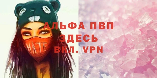 спайс Баксан