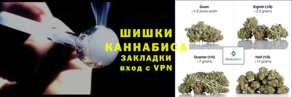 сатива Покачи