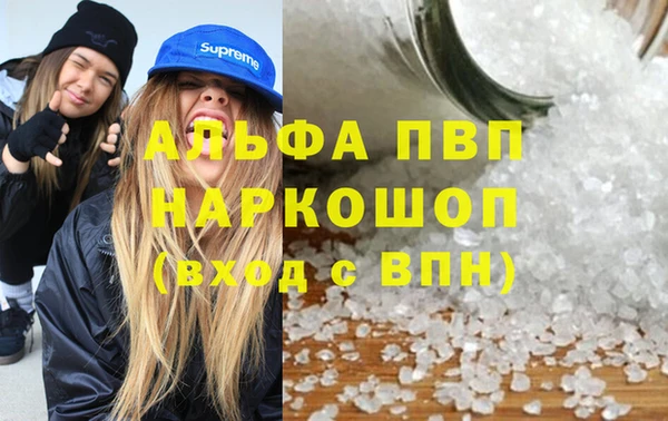 гашик Балахна