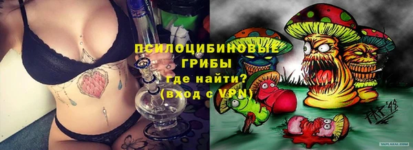 гашик Балахна